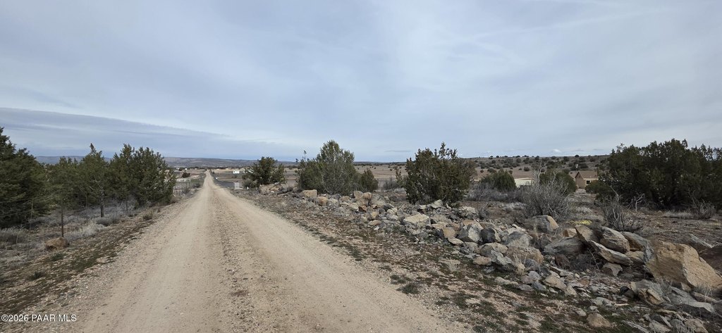 Picture 4