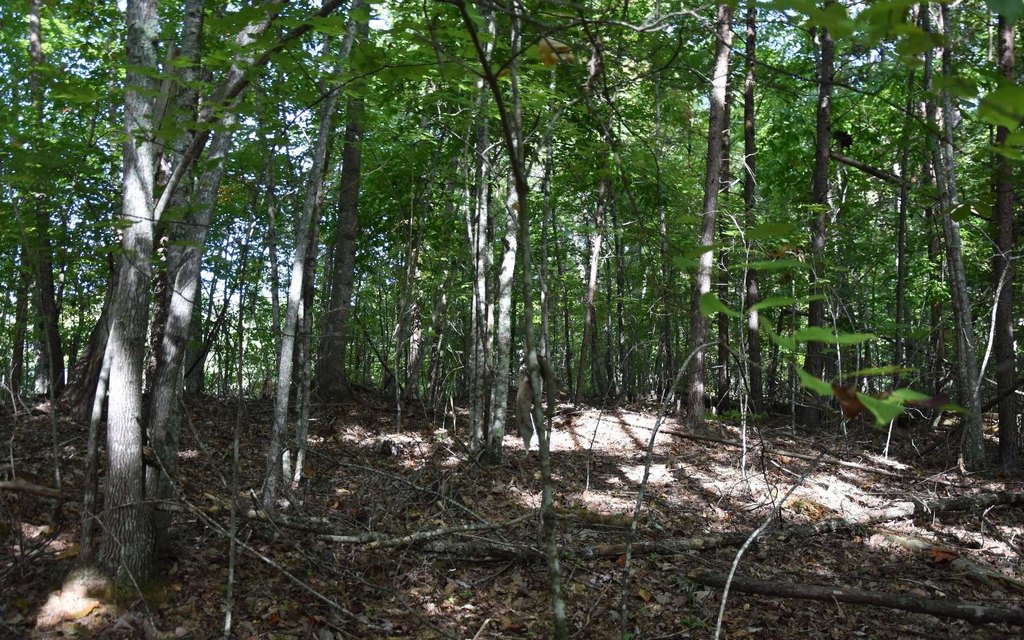 Picture 16