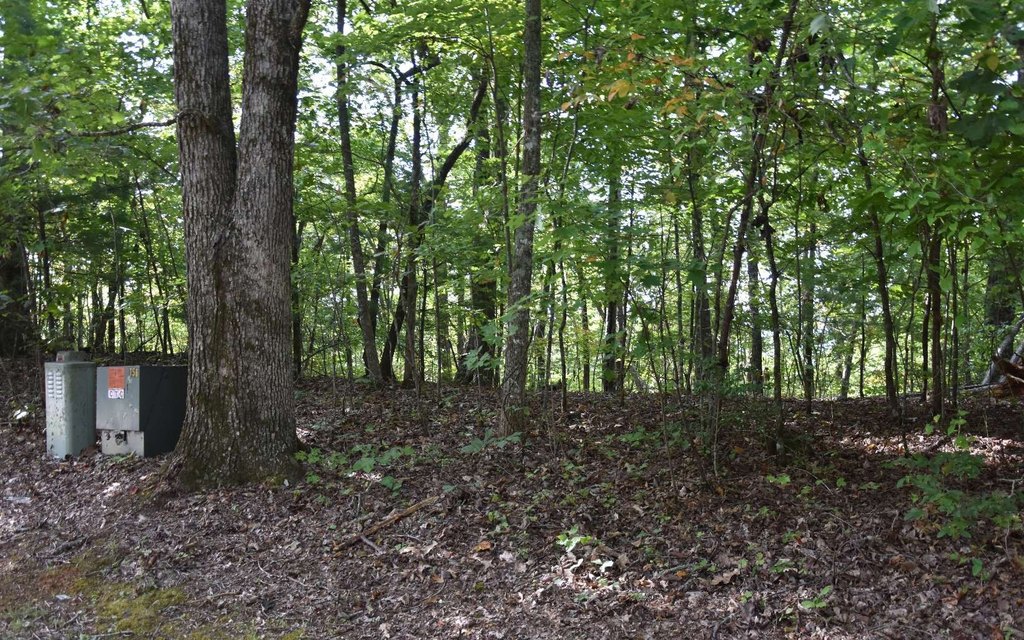 Picture 15