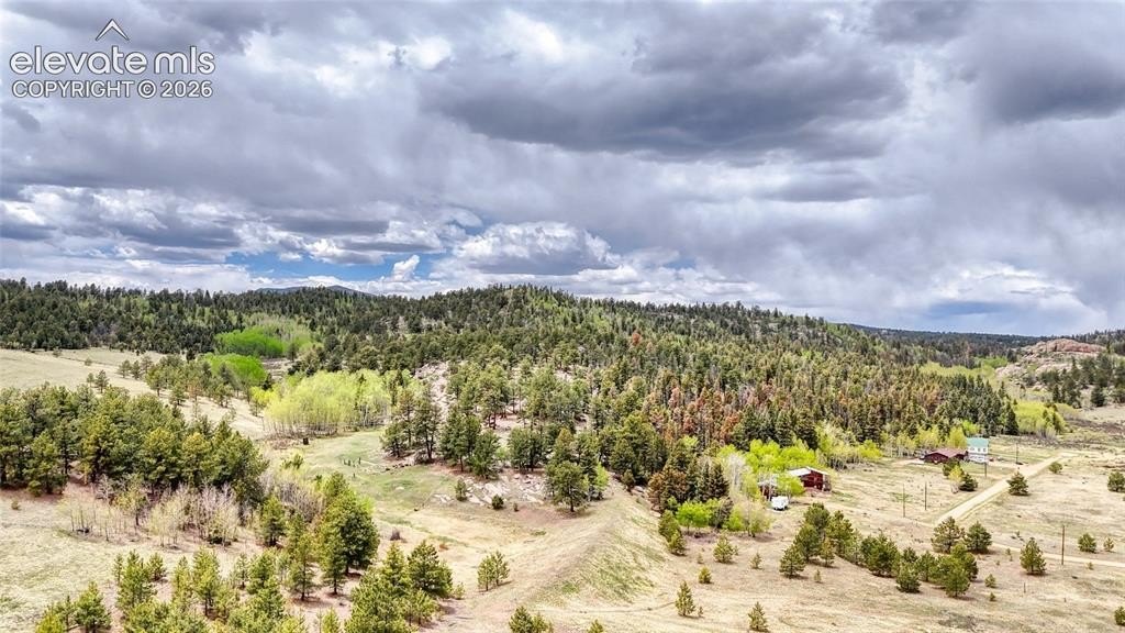 Picture 14