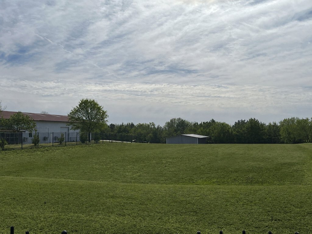 Picture 8