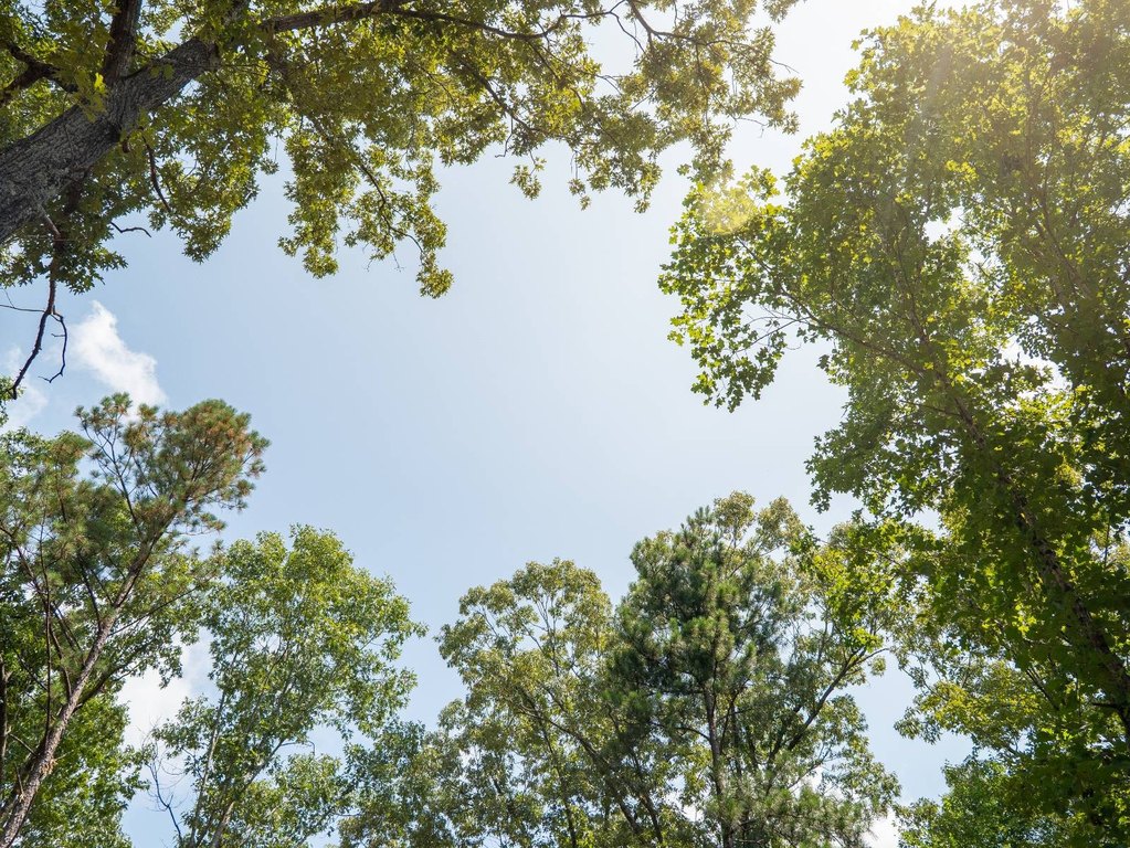 Picture 18