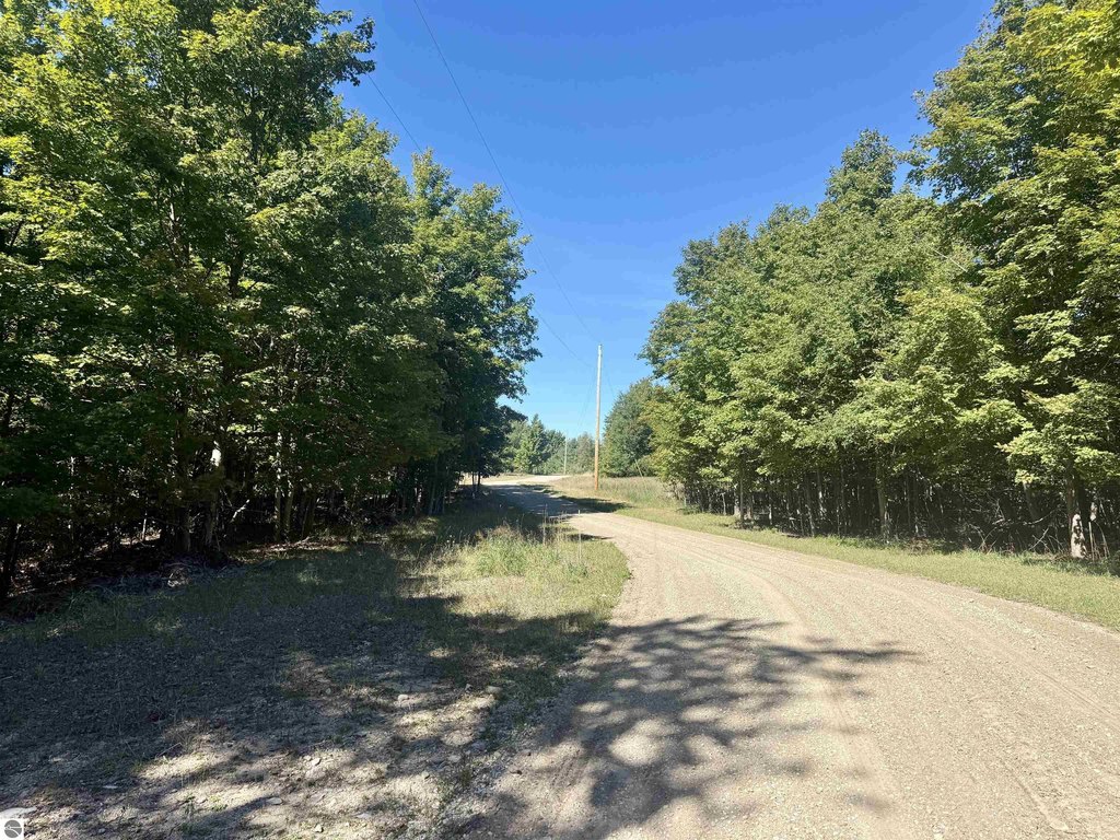 Picture 25