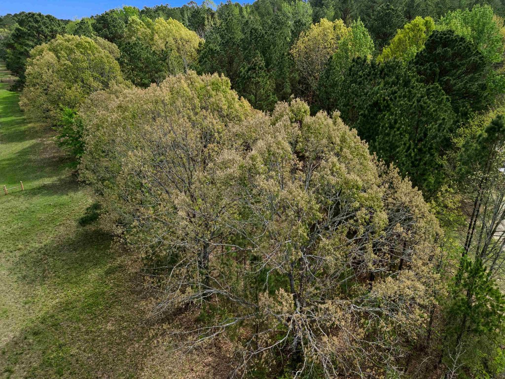 Picture 18