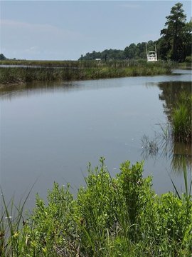 Waterfront Land with Boat Slip