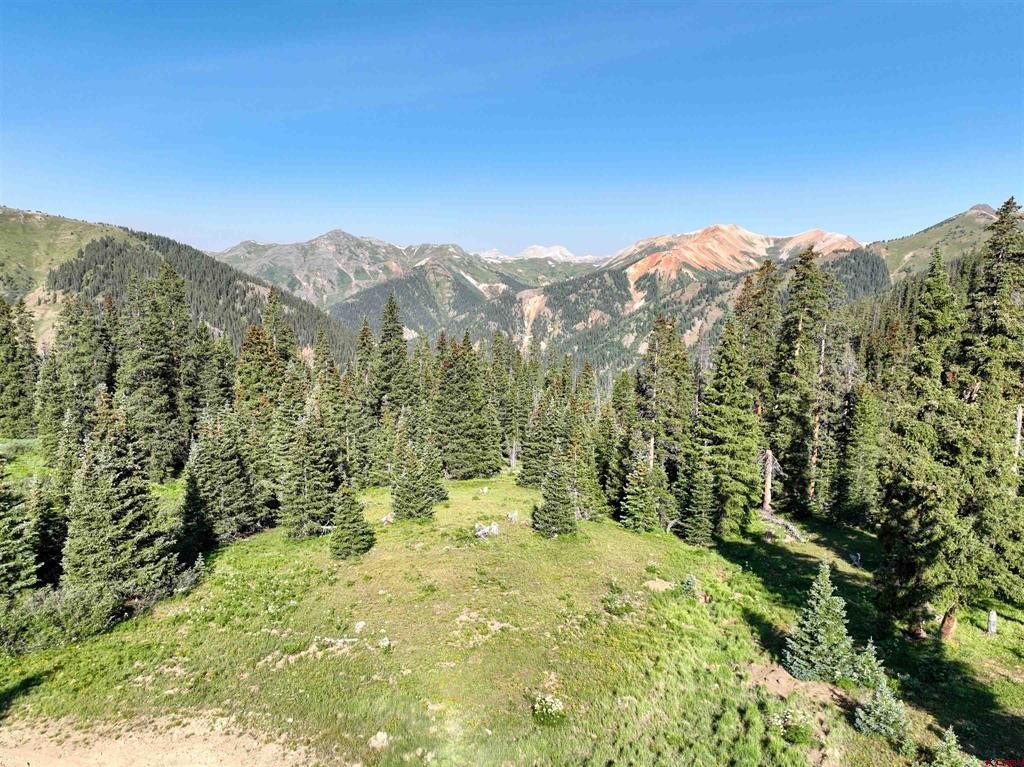 Picture 5