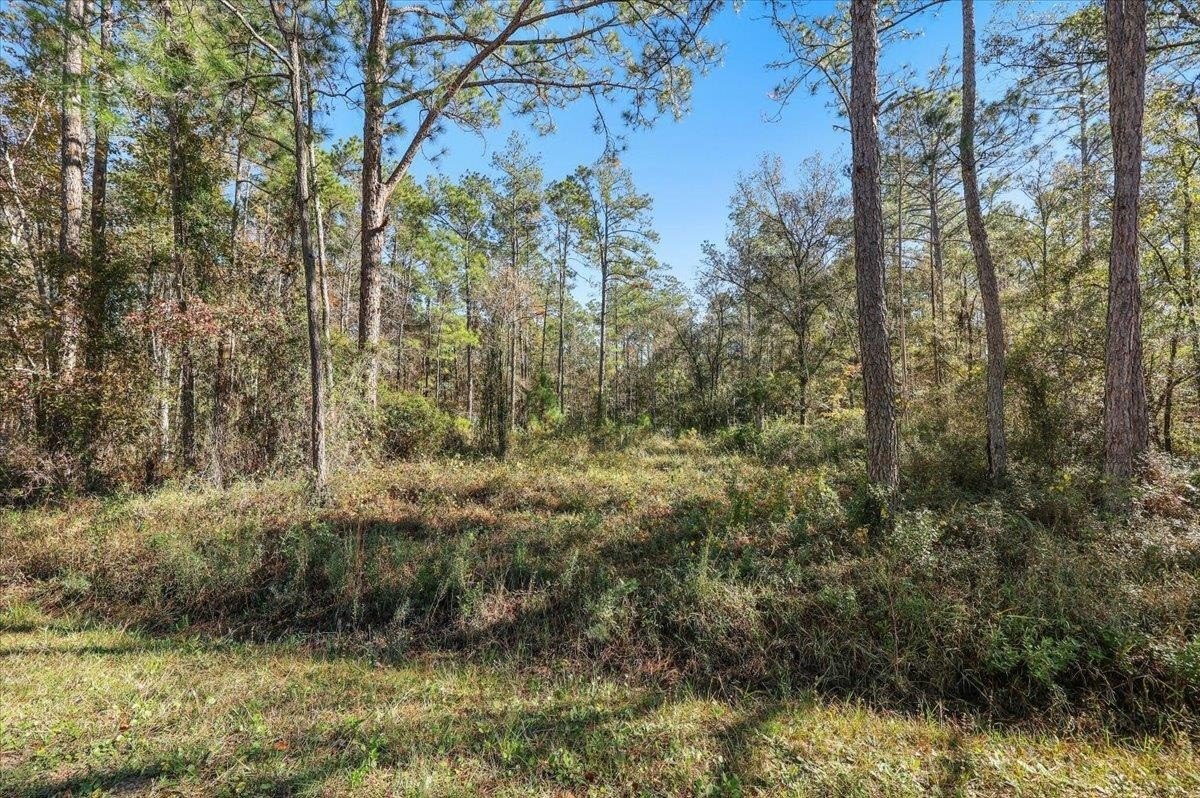 Land in Growing St. Johns