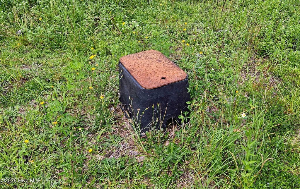 Picture 4
