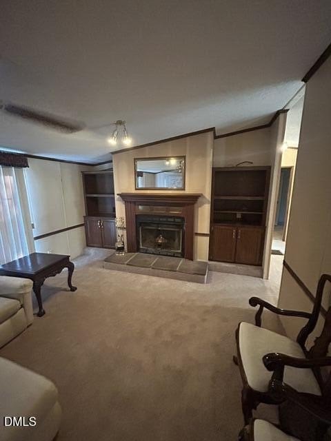 Picture 23
