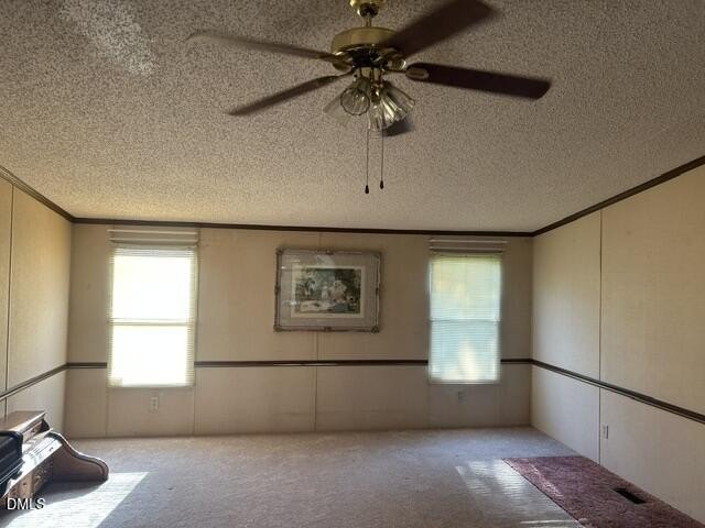Picture 24