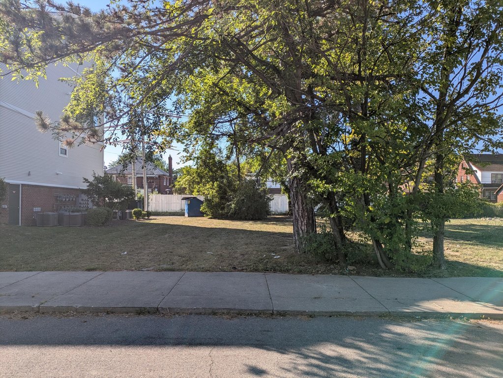 Picture 5