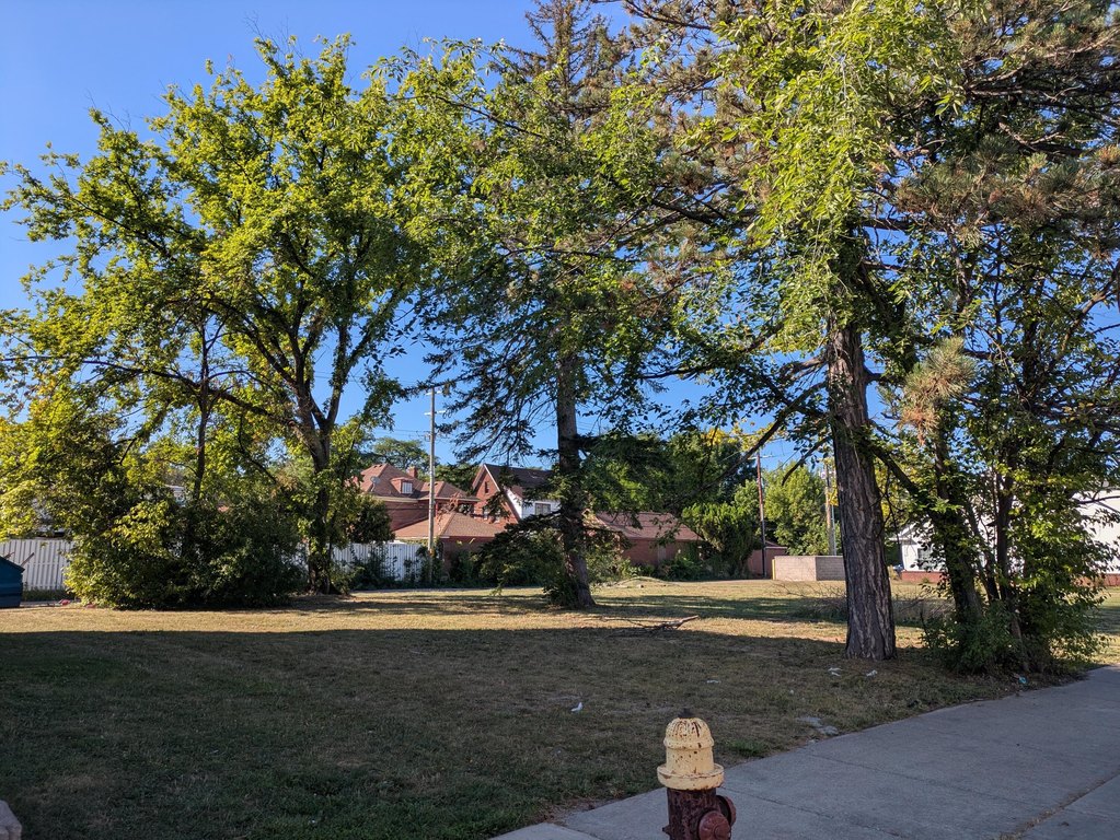 Picture 6
