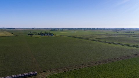 80 Acres of Farmland