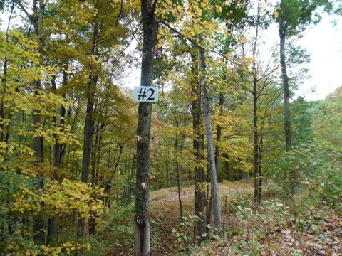 Wooded Lot Near Lake Raystown