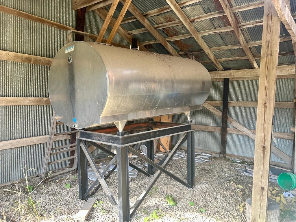 Picture 6