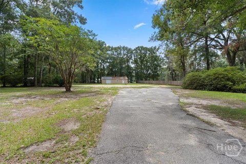 LAND - Richmond Hill, GA