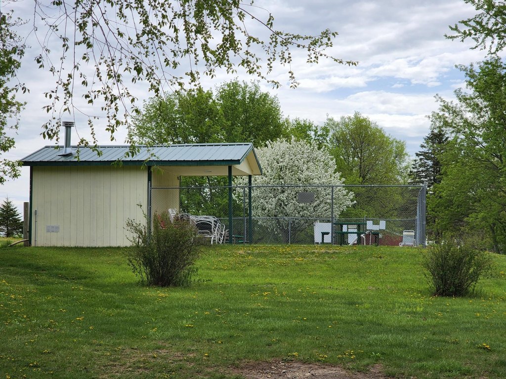 Picture 12