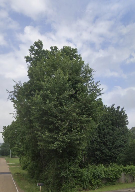 Picture 4