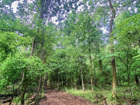 LAND - Broken Bow, OK