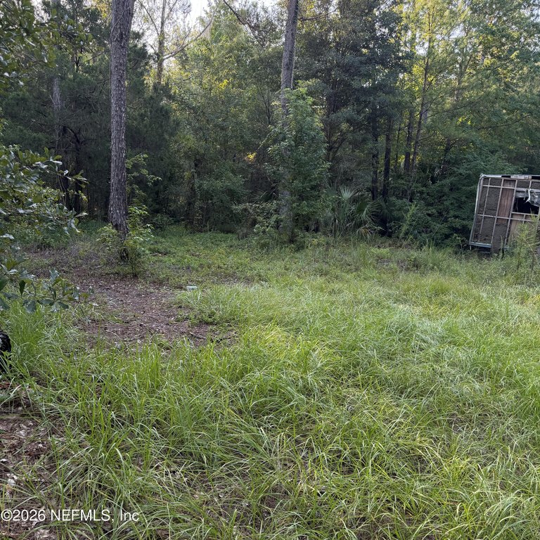 Picture 4
