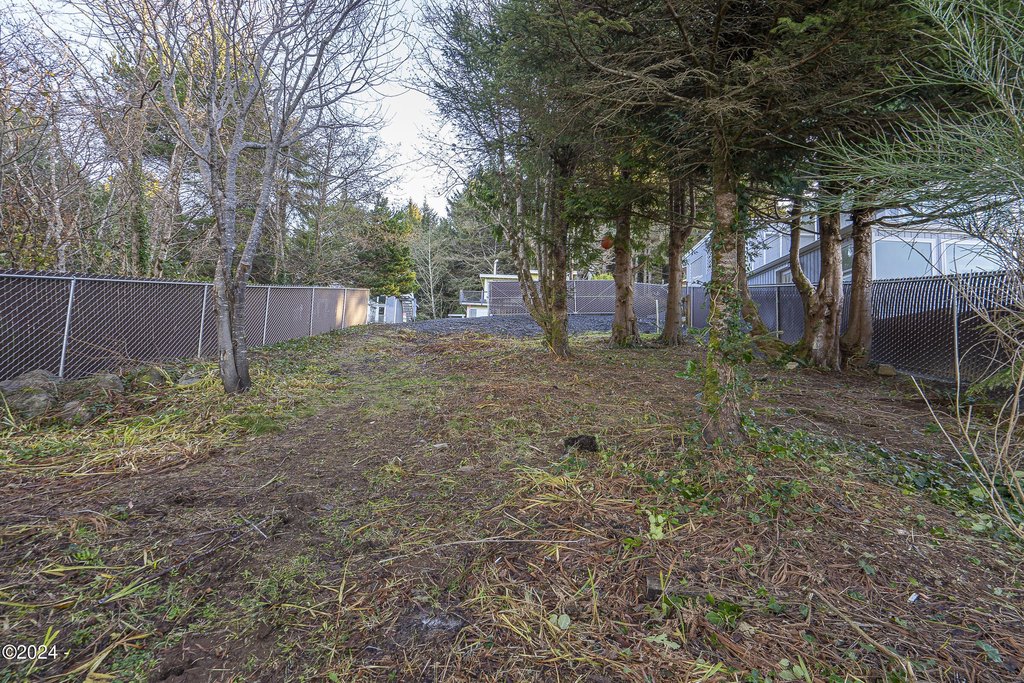 Picture 11