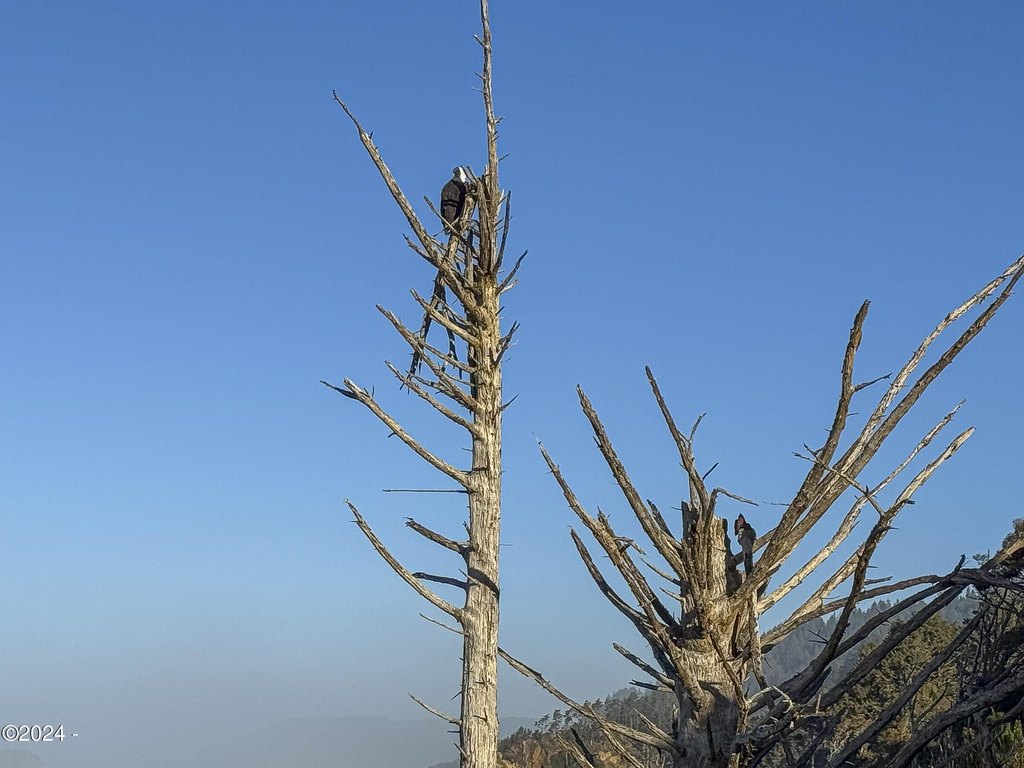 Picture 30