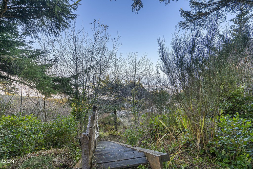 Picture 8