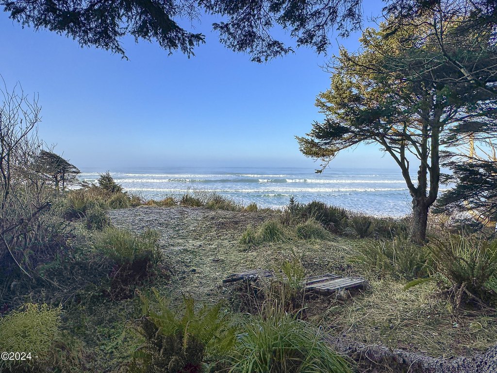 Picture 12