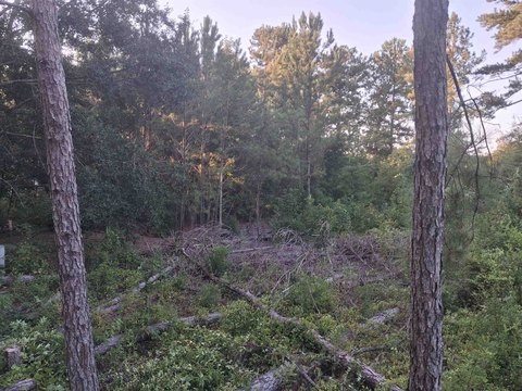LAND, Lake City, SC