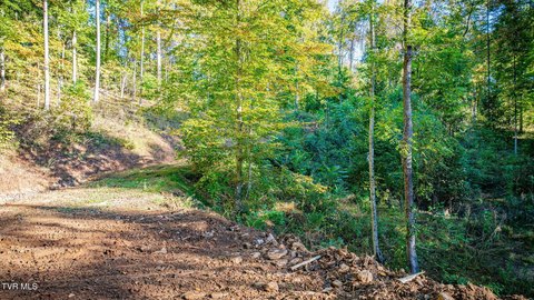 Land, Elizabethton, TN