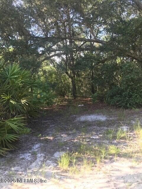 Agricultural Lot in Hawthorne, Florida