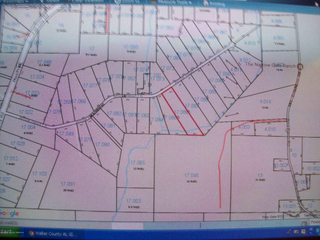 Picture 3