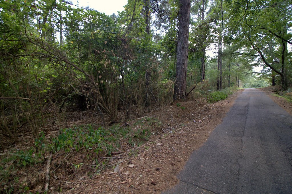 Picture 6
