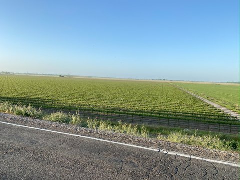 Leased Vineyard Property with Water Rights