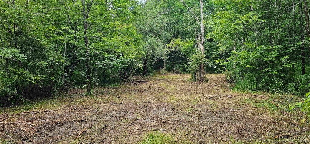 Picture 16