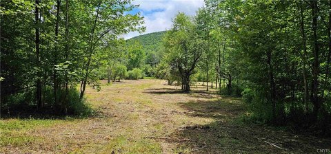 LAND - Marathon, NY