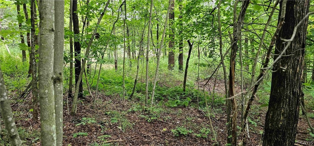 Picture 23