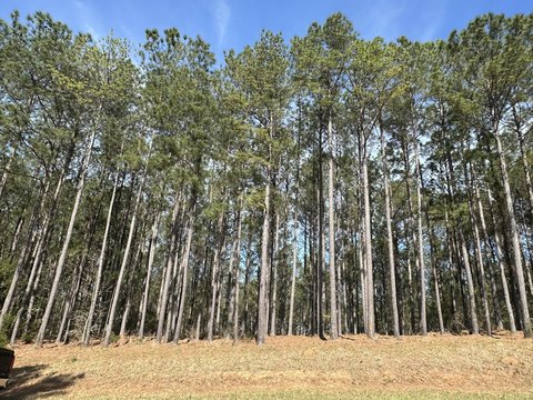 Land, Lincolnton, GA