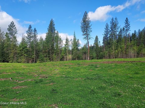 Idaho Land Bordering National Forest