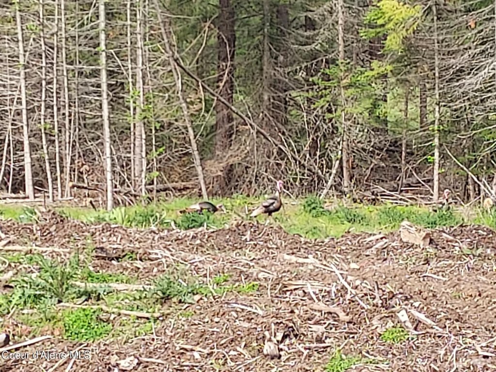 Picture 18