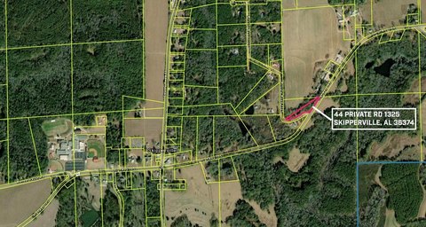 LAND - Skipperville, AL