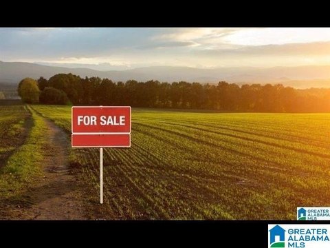 LAND - SPRINGVILLE, AL