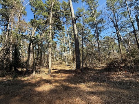 Wooded Land in Gated Community