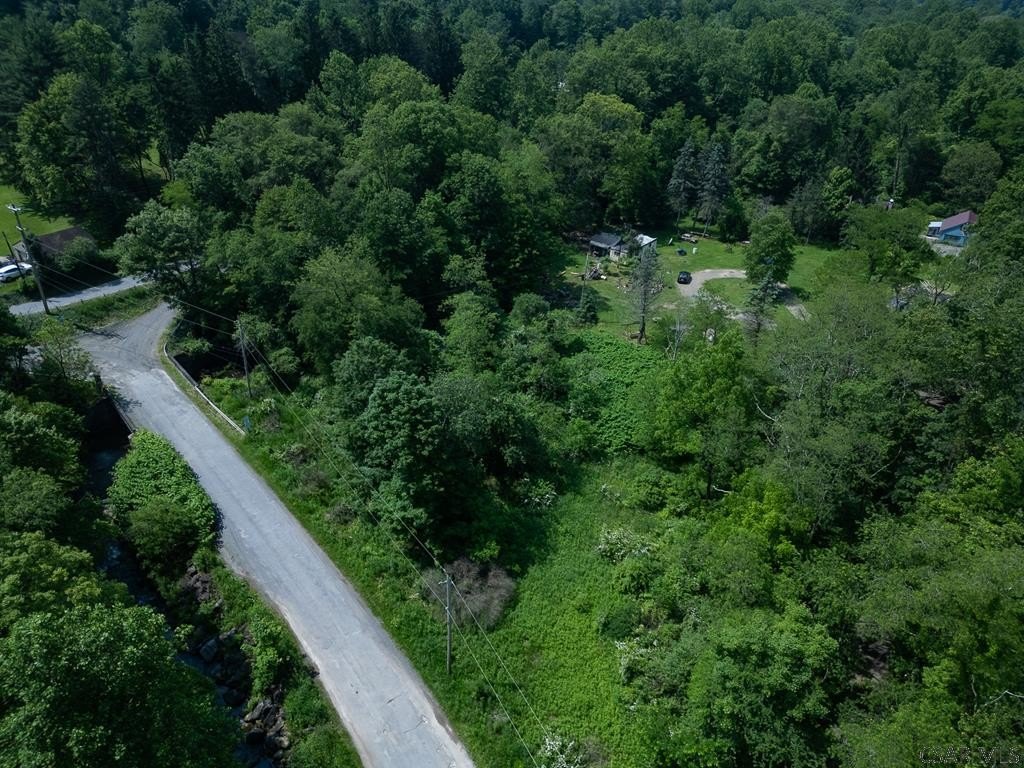 Picture 14