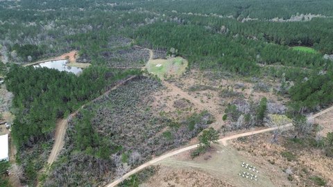 Poplarville Hunting and Recreation Land