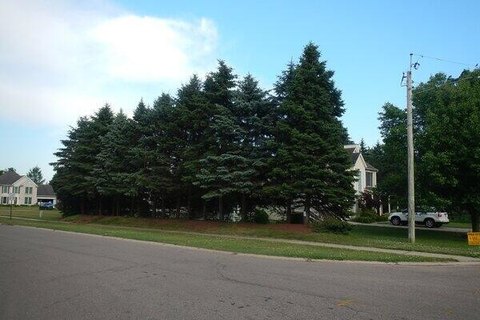 LAND - Stevensville, MI