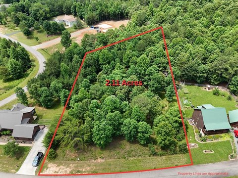 Vacant Lot - Blairsville, GA