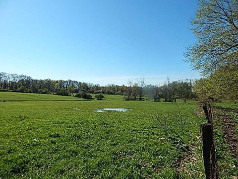 Spacious Land Parcel in Leonard, MI