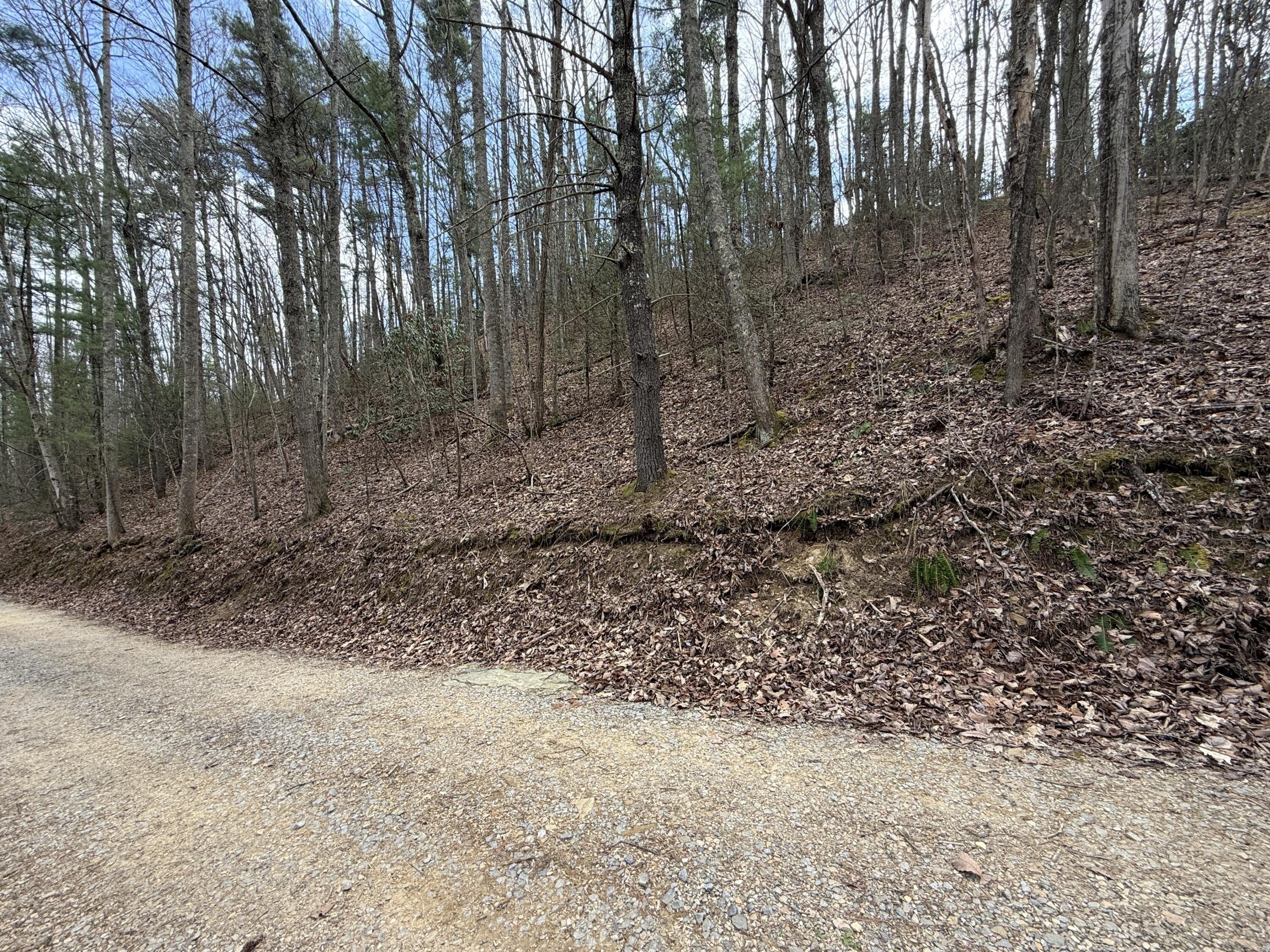 Tennessee Mountain Freedom Land