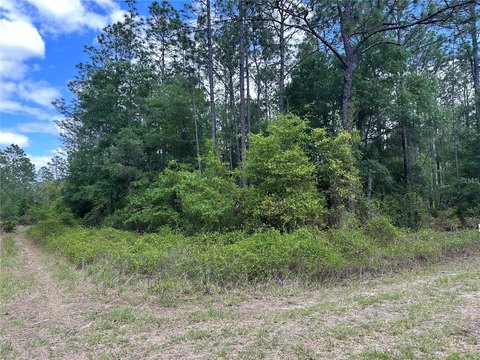 LAND - OCALA, FL